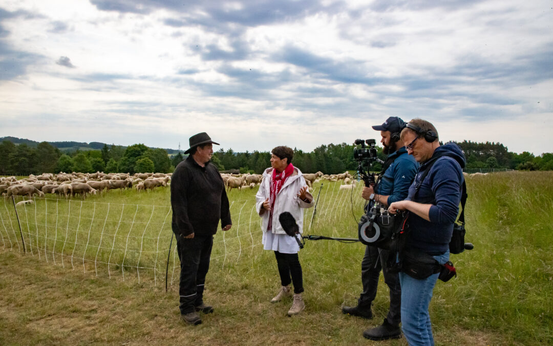 Sonja in Wildberg – Wildberg im SWR