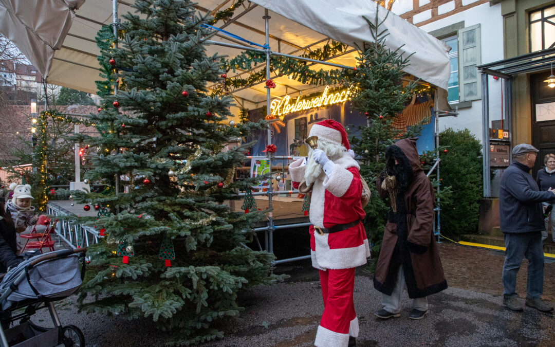 Weihnachtsbäume für guten Zweck gesucht
