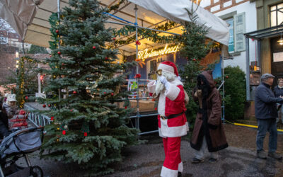 Weihnachtsbäume für guten Zweck gesucht